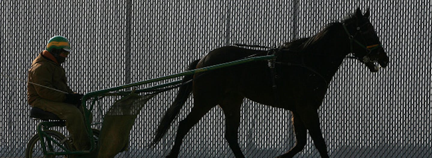 Mitch Banks, 28, drove a pacer named Whata Machete past a fence on the track at the new Running Aces Harness Track in Forest Lake. Banks is from Canon