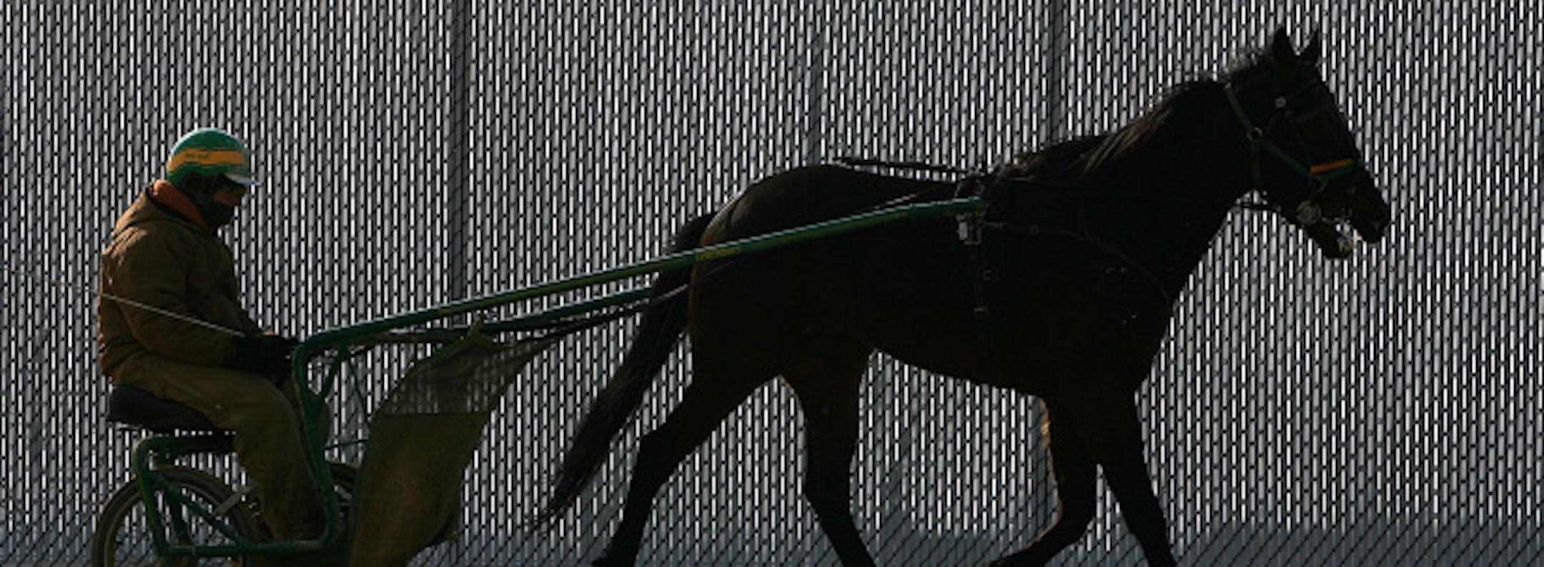 Mitch Banks, 28, drove a pacer named Whata Machete past a fence on the track at the new Running Aces Harness Track in Forest Lake. Banks is from Canon Falls. Banks and others are preparing for the upcoming opening day at the track.