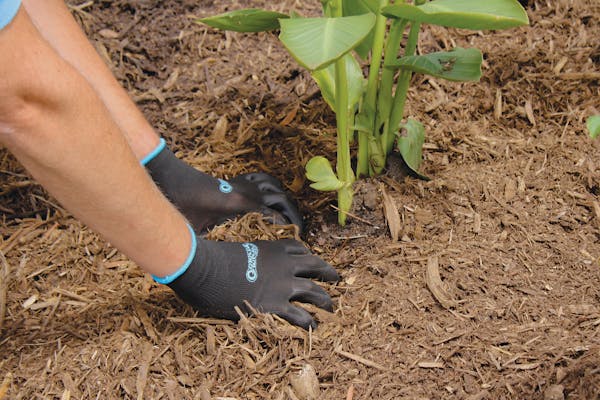 Katie Elzer-Peters writes in the "Beginner's Illustrated Guide to Gardening" that mulch's appearance is just as important as the amount used. (Handout