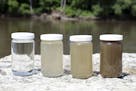Using tap water as a basis for comparison, far left, Minnesota River basin samples showed a 50% reduction in sediment, second from left; average sedim