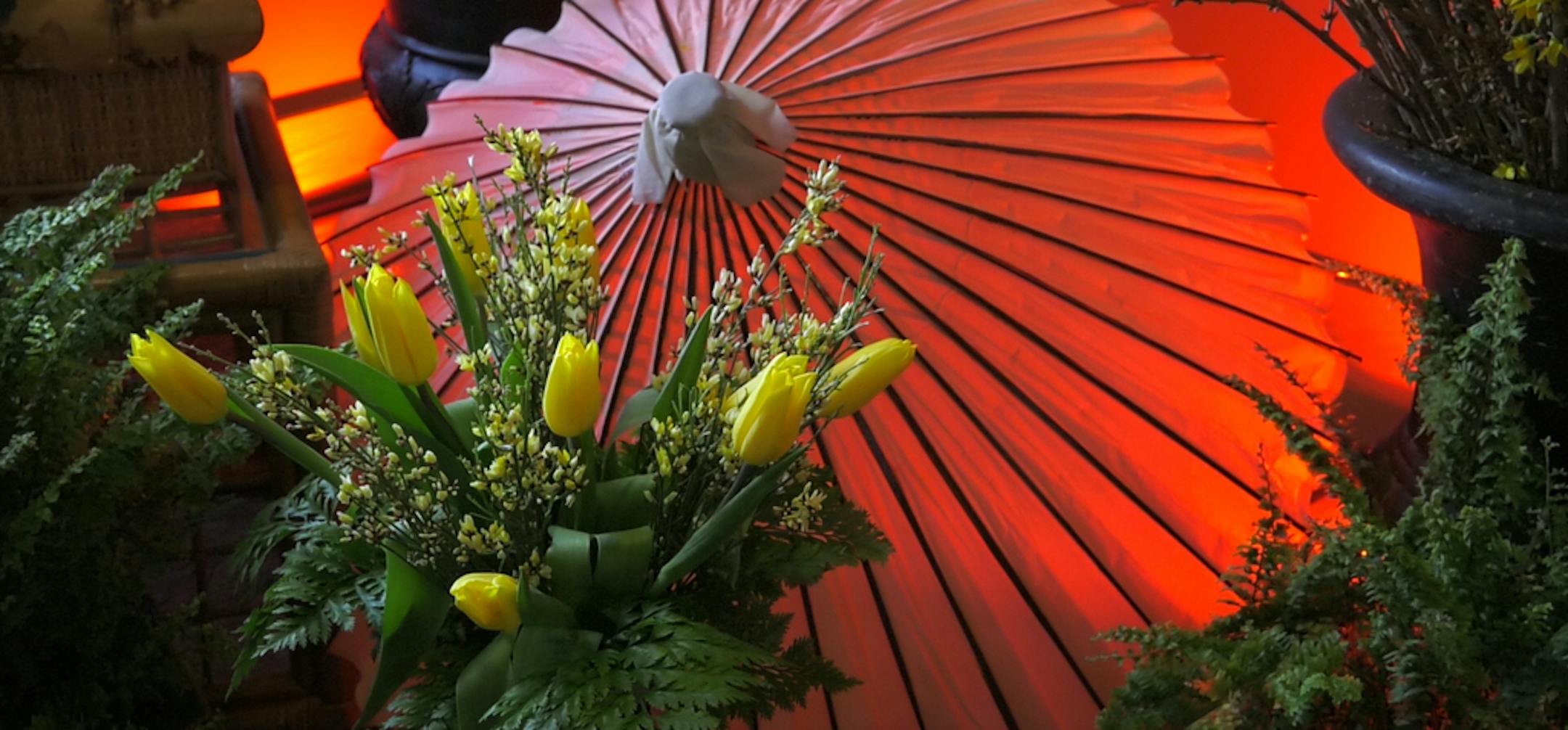 Bright yellow cut tulips and wax flowers make a statement in this vignette of China at the Passport to Spring flower show at the Minnesota Landscape Arboretum. Nine displays each represent a different country, showcasing native plant life and decorations. The show runs through March 3. ] Shari L. Gross &#x2022; shari.gross@startribune.com Spring flower show at the Arboretum opens to the public Feb. 1 with a preview Thurs night: Open the doors to the Arboretum's Great Hall and experience a world