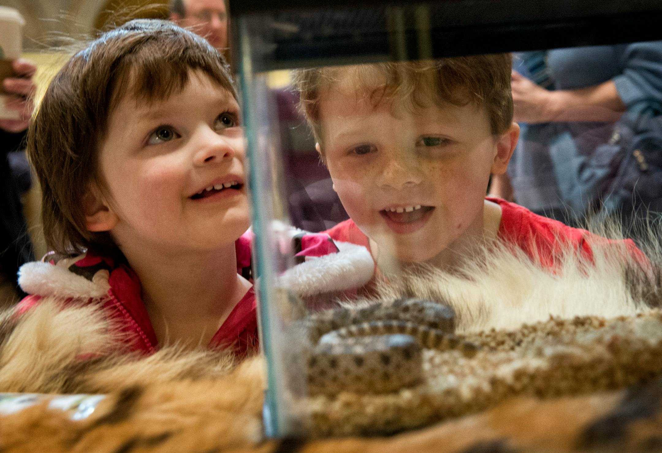 Cousins Andrew and Charlotte Backhaus watched a western hognose snake during Zoo Day at the Capitol in March 2013.
