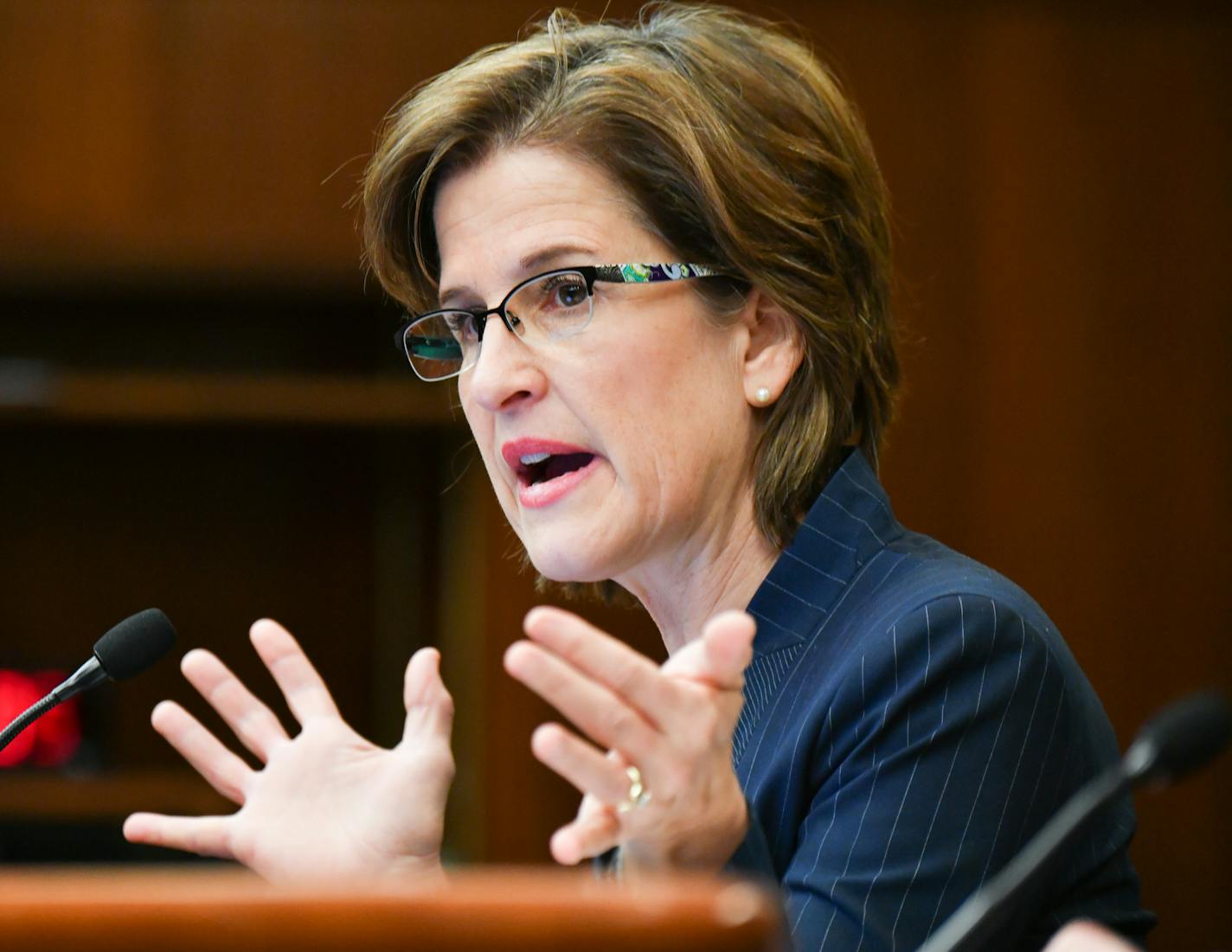 State Auditor Rebecca Otto defended her actions and her agency's budget before tough questioning from members of the House State Government Finance Committee. ] GLEN STUBBE &#x2022; glen.stubbe@startribune.com Wednesday February 15, 2017 State Auditor Rebecca Otto, who is fighting to preserve her office from attacks by the Legislature, appeared before a House committee today as they considered bills that would negatively impact her office.