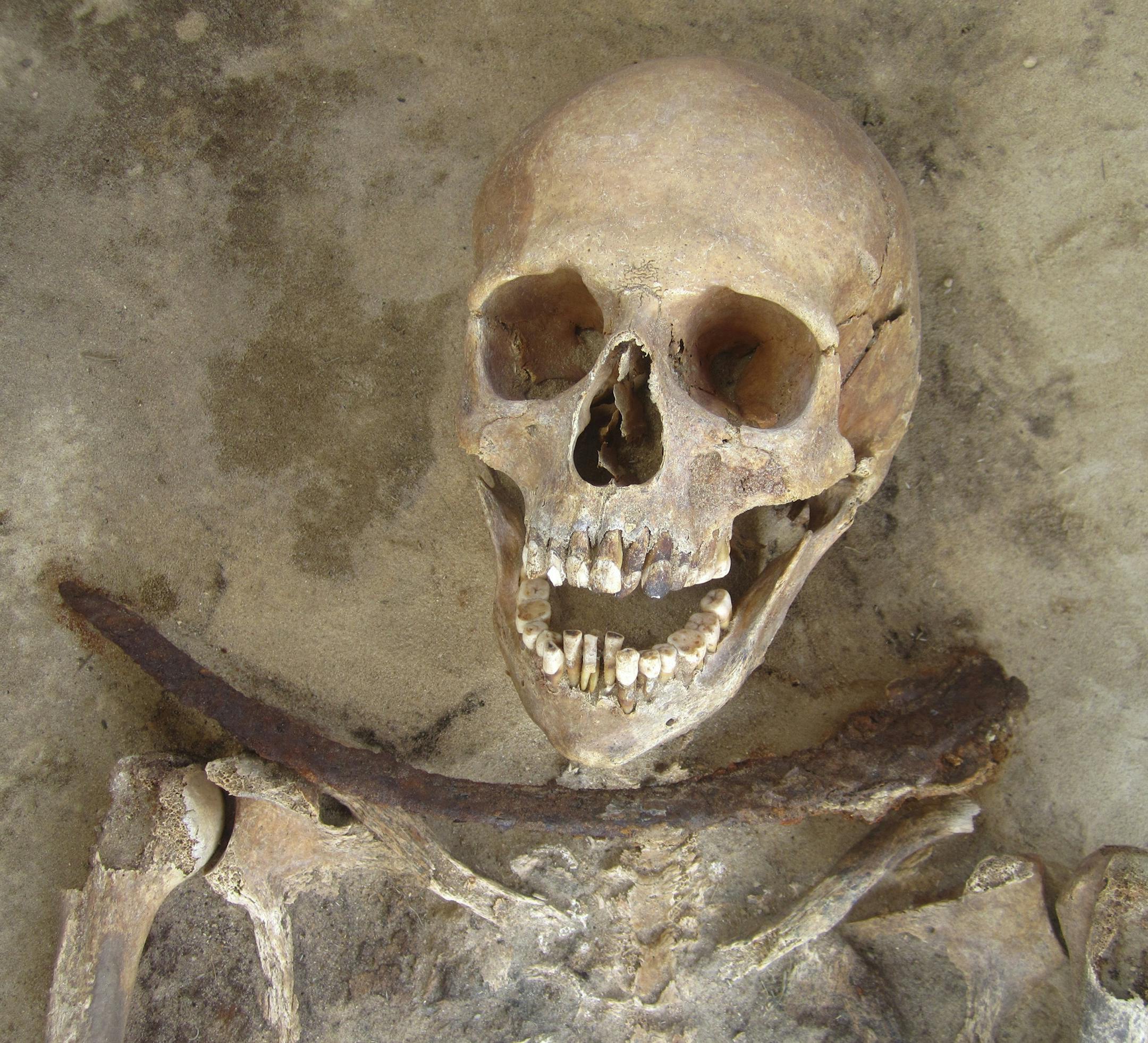 In an undated handout photo, the skeleton of a female, who was buried with a sickle placed across her neck, a practice in 17th- and 18th-century Poland to keep the dead from rising from the grave. Written records suggested that the dead were stigmatized because they were immigrants, but a new study contradicts the idea. (Amy Scott via The New York Times) -- NO SALES; FOR EDITORIAL USE ONLY WITH STORY SLUGGED SCI WATCH. ALL OTHER USE PROHIBITED. ORG XMIT: XNYT13