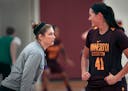 Lindsay Whalen's demeanor — running her first Gophers practice Monday as head coach — had senior center Annalese Lamke smiling. It was an upbeat, 