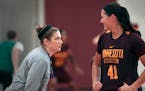 Lindsay Whalen's demeanor — running her first Gophers practice Monday as head coach — had senior center Annalese Lamke smiling. It was an upbeat, 