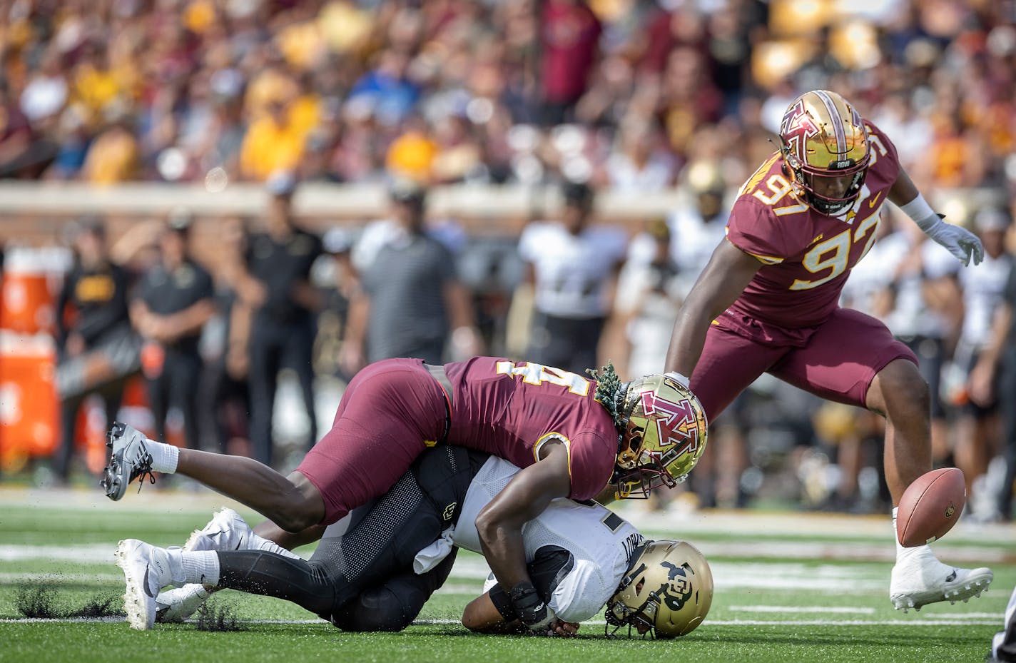 Minnesota's defensive back Terell Smith (4) sacks Colorado's quarterback J.T. Shrout as Minnesota's defensive lineman Jalen Logan-Redding (97) recovers the ball for a turnover in the first quarter Colorado at Huntington Bank Stadium in Minneapolis, Minn., on Saturday, Sept. 17, 2022. ] Elizabeth Flores • liz.flores@startribune.com