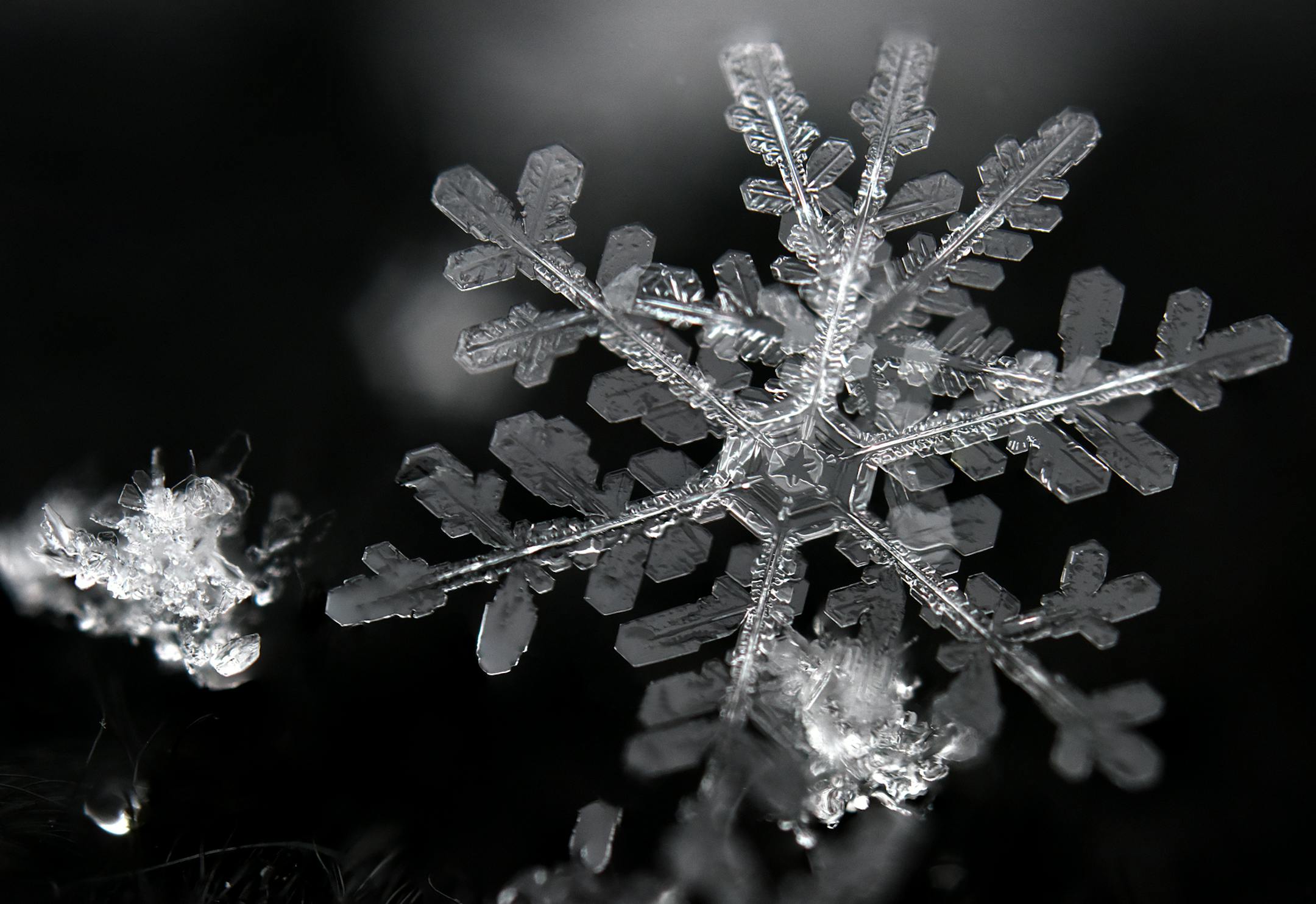 A snowflake on a black glove. very close
