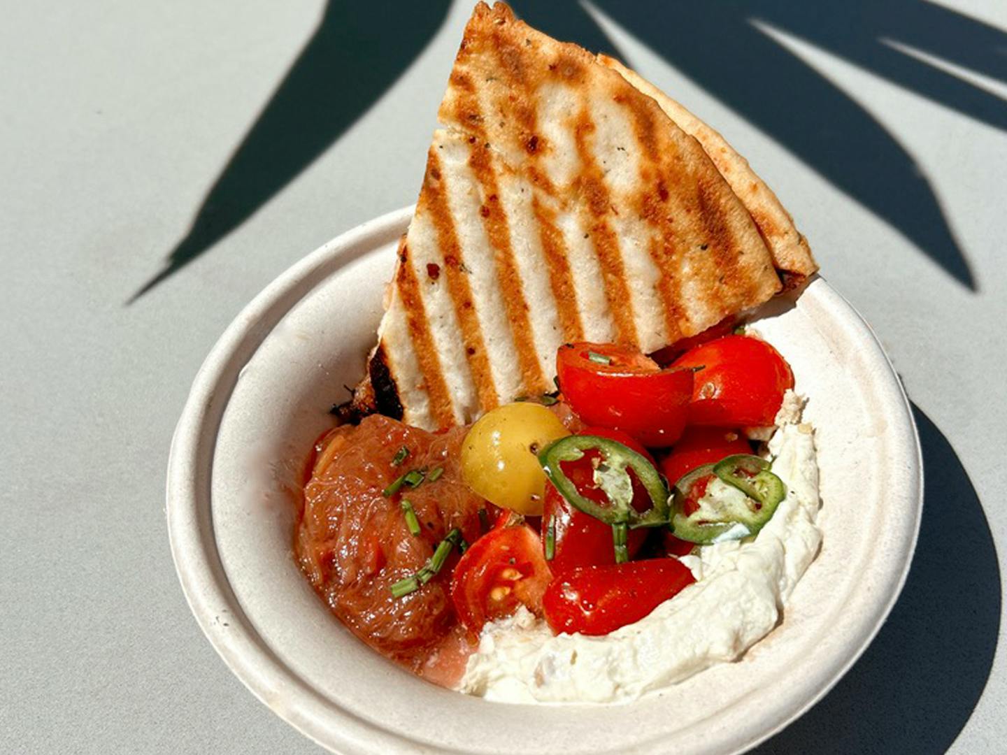 Marco's Garden by Jammy Sammies by BRIM.