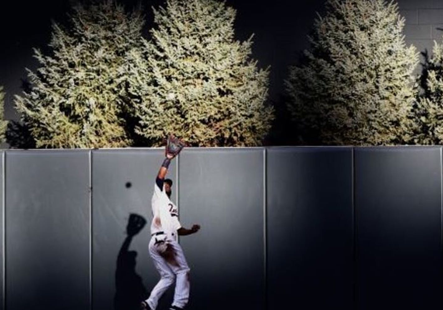 The spruce trees that were in place during the first season at Target Field posed a visual challenge to hitters.