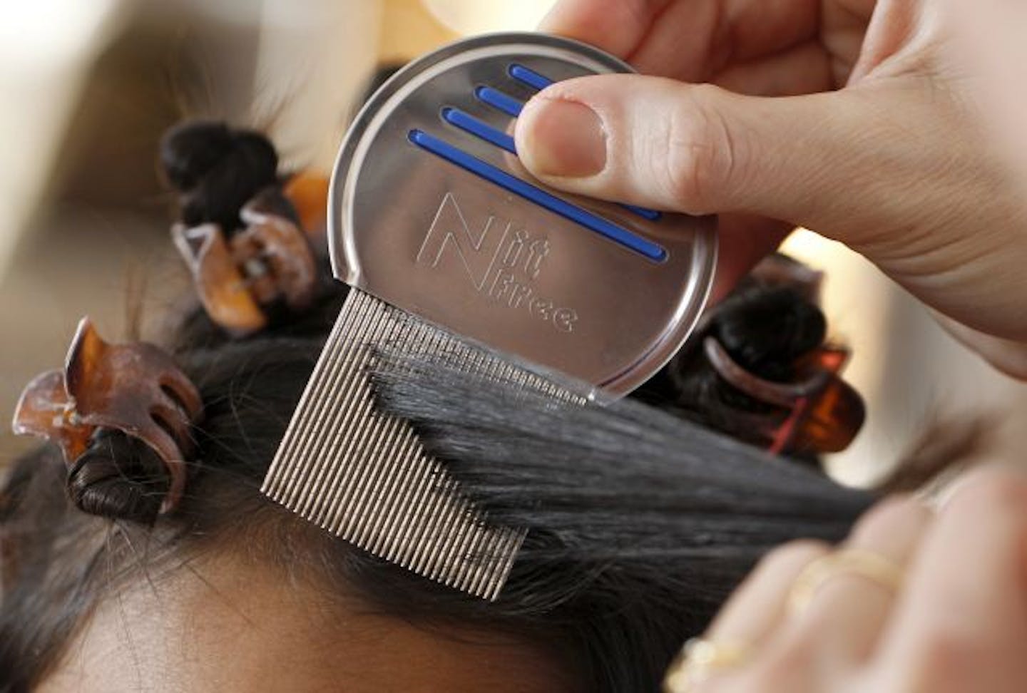 Diligence, patience and a special comb with extremely fine teeth are the tools of the trade.