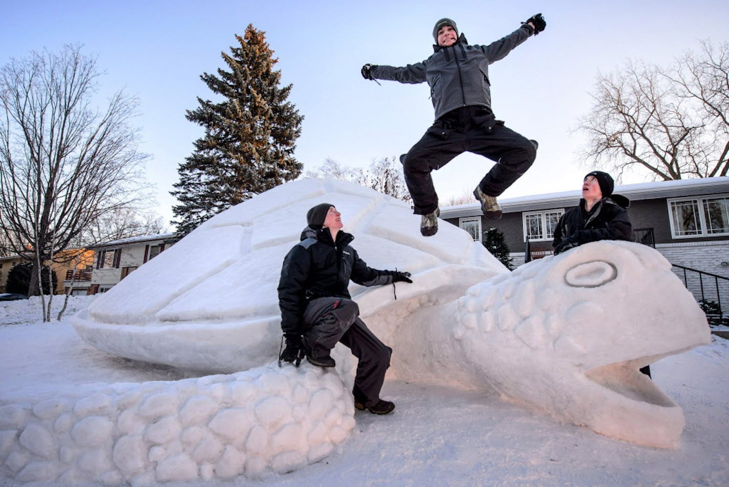 Brothers Austin Bartz, 20, Trevor Bartz, 19 and Connor Bartz, 16 took around 300 hours to build this 12-foot-high snow turtle which measures 37 feet long and 31 feet wide. Last year's snow sculpture was a snow shark and the brothers decided to go "gentle" this year. ] GLEN STUBBE * gstubbe@startribune.com Wednesday, January 7, 2015 L to R Austin, Connor, Trevor