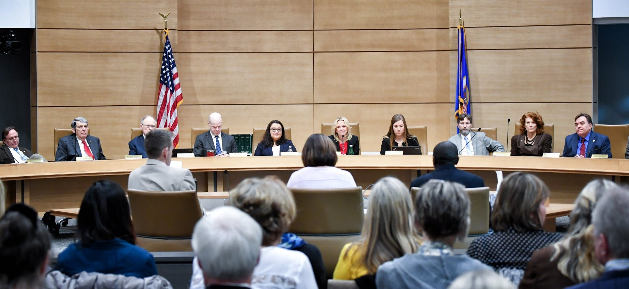 During emotional testimony Wednesday, dozens of elderly abuse victims and their families described how their lives had been forever changed by their abusers. Armed with graphic photos, they shared horrific stories of abuse before a Senate committee that is considering broad reforms to the state's system for regulating senior homes.
