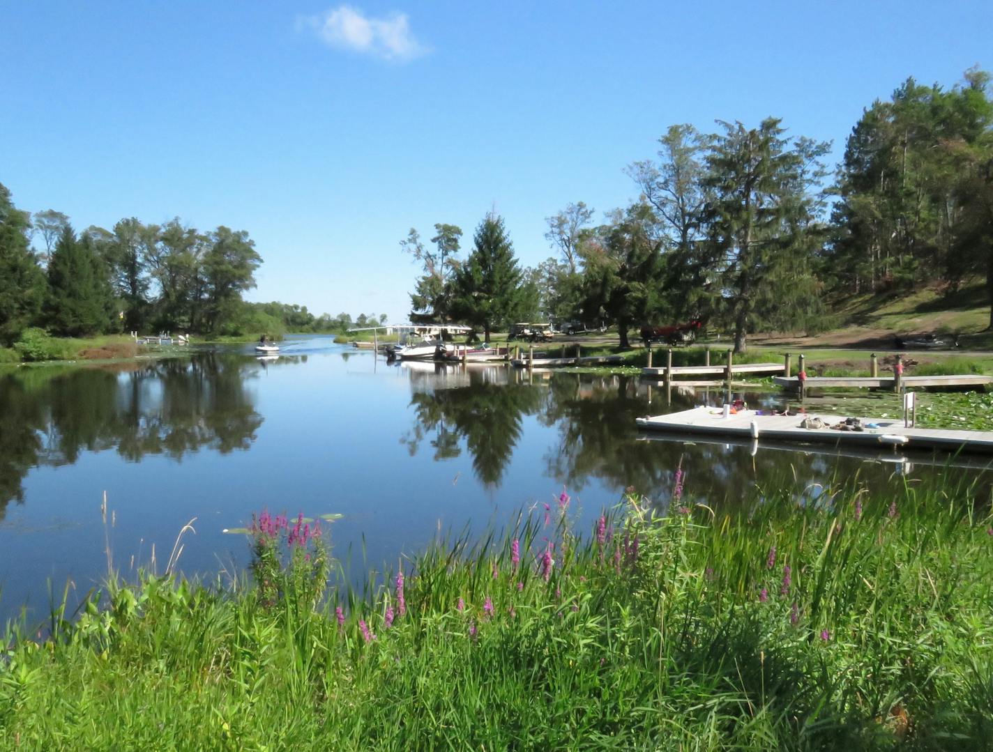 A serene inlet at Madden's.