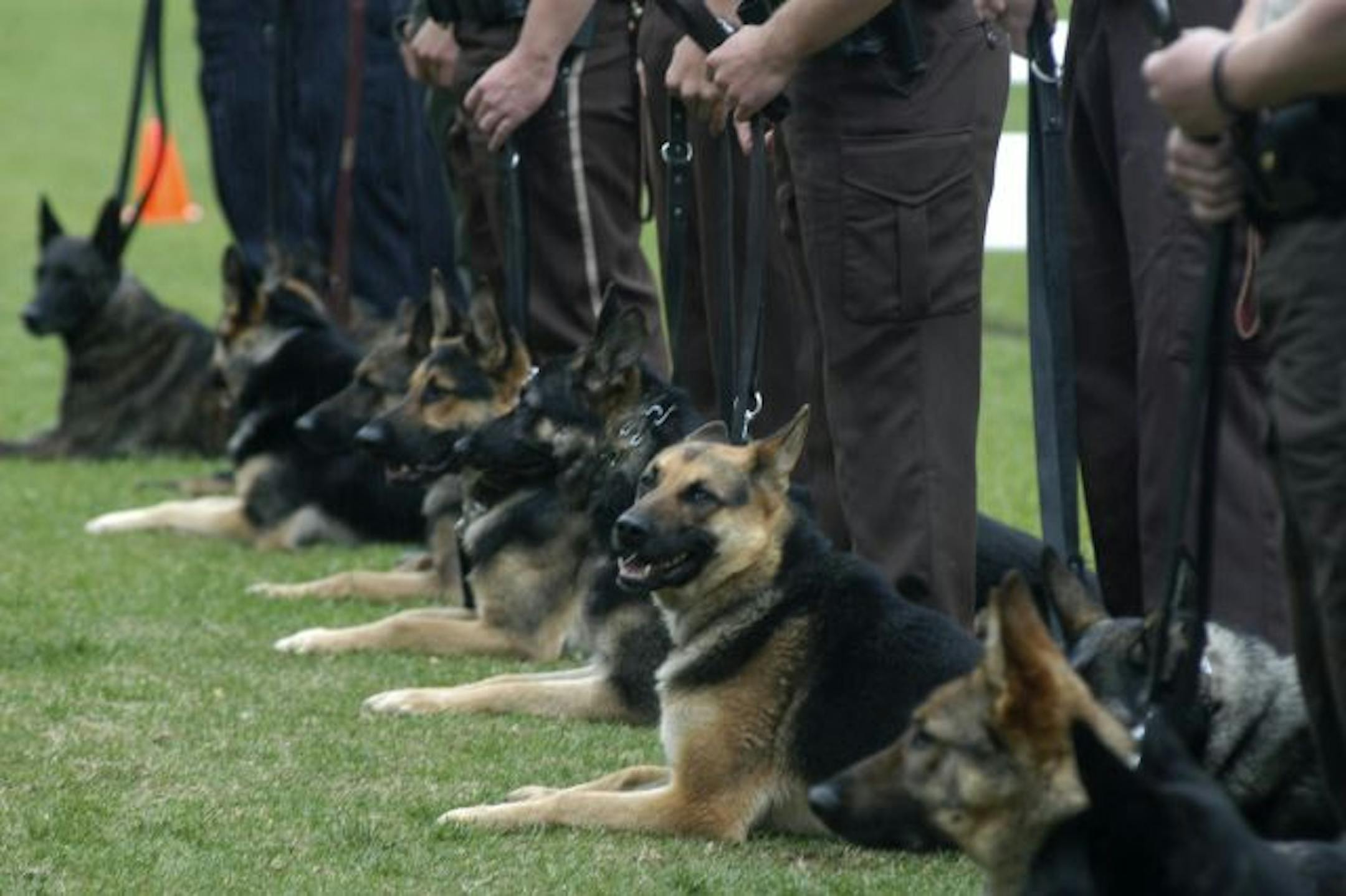 K-9 graduating class of 2005 at St. Paul ceremony.
