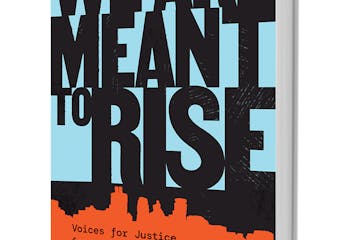 "We Are Meant to Rise" by Carolyn Holbrrok and David Mura