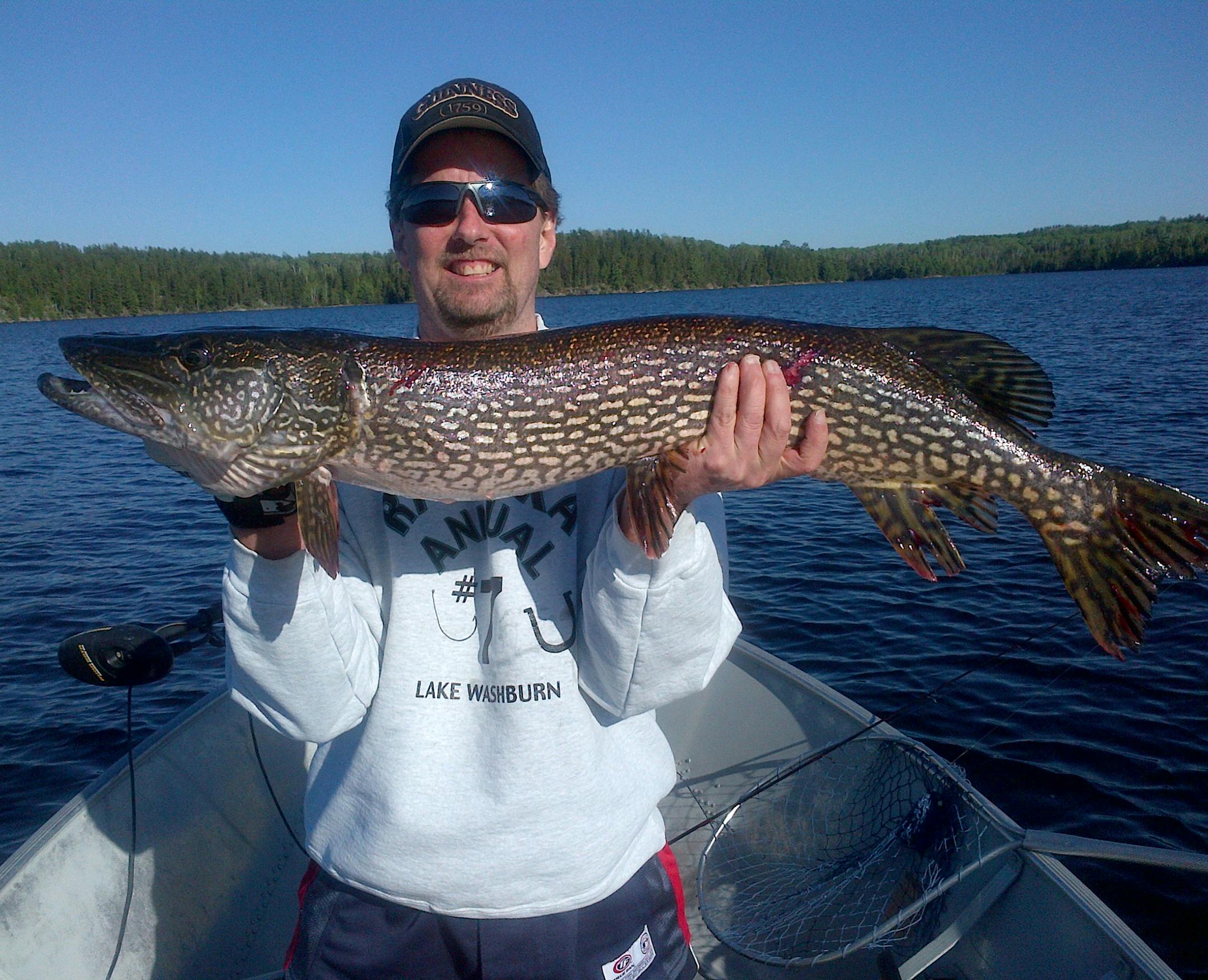 Scott Wahl of Brooklyn Park with a 39.5-inch northern he caught and released on Namakan Lake.