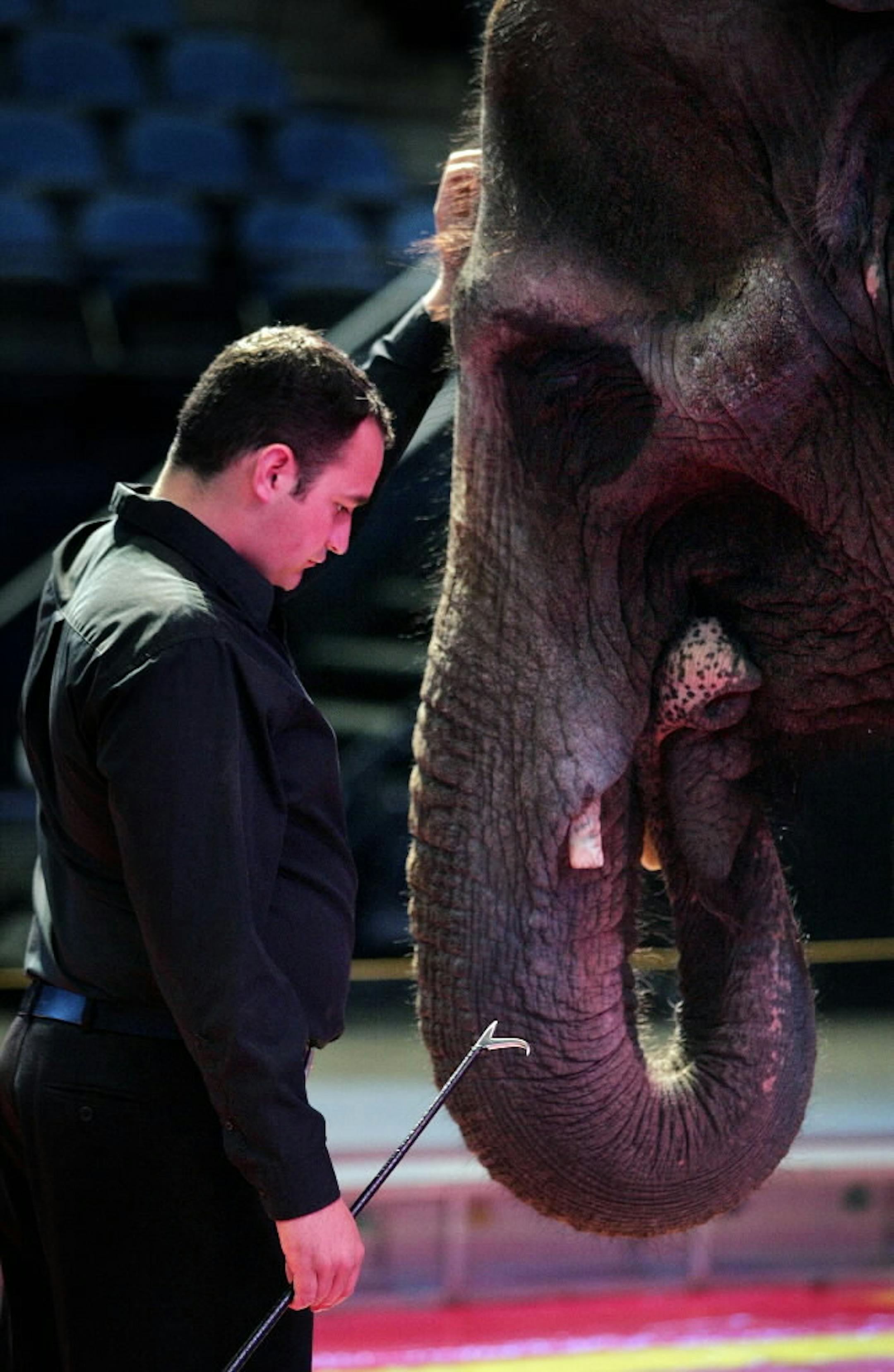 Elephant handler Larry Carden petted a Shrine Circus elephant at the Target Center last October.