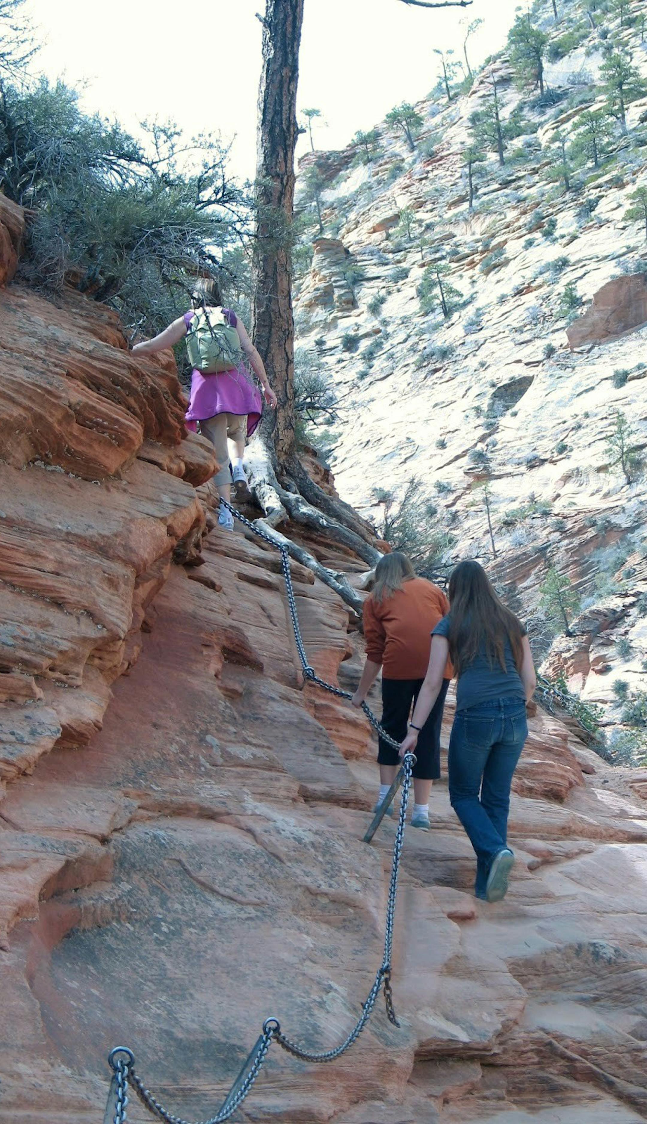 The ascent to Angel's Landing in Zion National Park is steep and treacherous; hikers use chains to steady themselves and hoist themselves upward. provided by Linnea Peterson