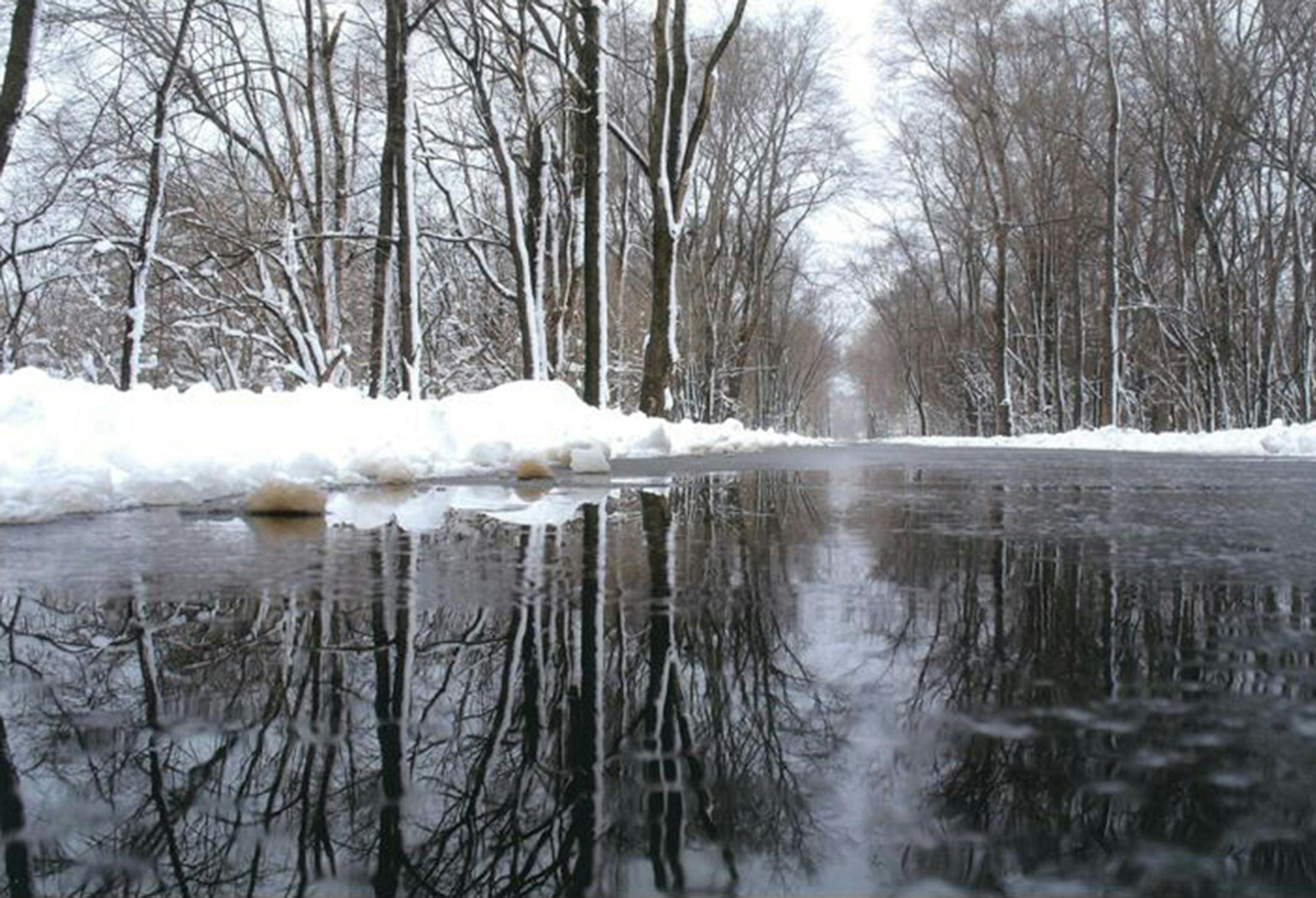 Photo b Steve Cuddihy, Cottage Grove photo contest, winner, streetscape category