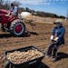 Mi Hang and her husband Jim Wa Moua planted potatoes in late April on the 10 acres they lease from the 160-acre Hmong American Farmer Association land