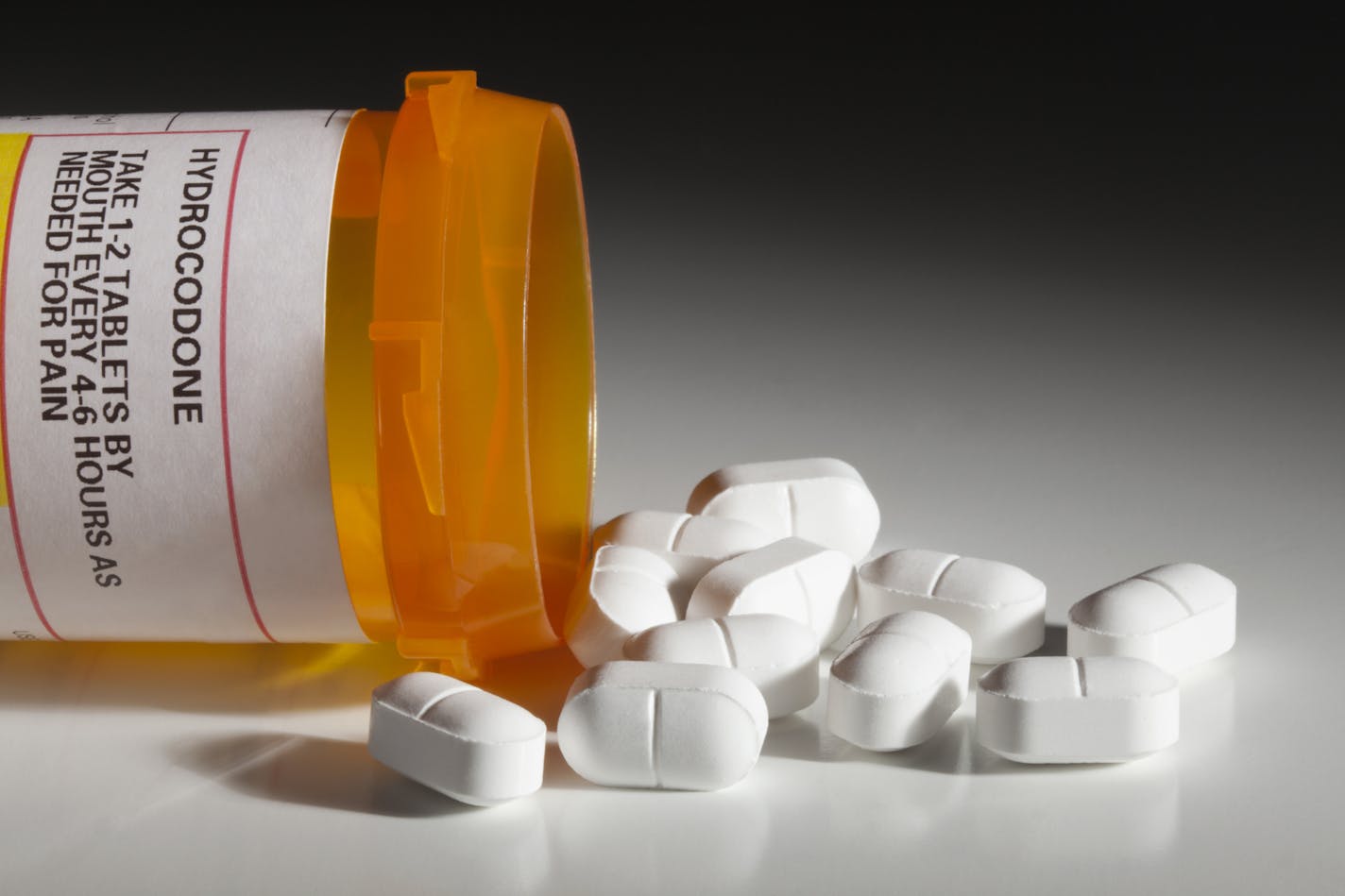 A bottle with a hydrocodone (the generic name for drug sold under other names by various pharmaceutical companies) label and hydrocodone tablets spilling out isolated on white background. Hydrocodone is a popular prescription semi-synthetic opioid that is used to treat moderate to severe pain. Hydrocodone is said to be one of the most common recreational prescription drugs in America.