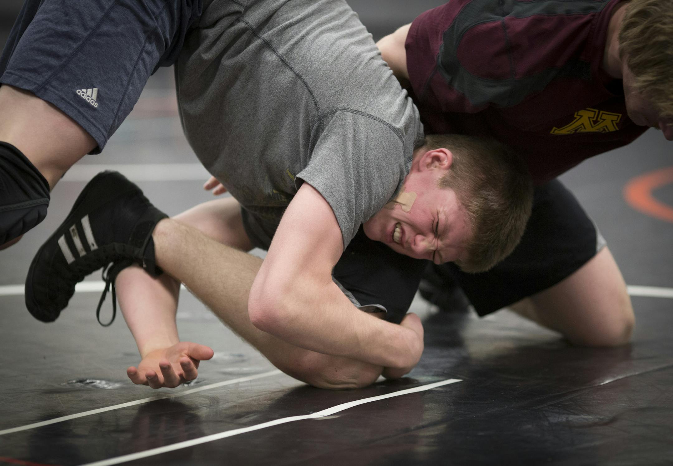 Farmington wrestler Taylor Venz, ranked second at 145, grabbed Kyle Benjamin’s leg as they did wrestling drills during practice last week. (Renee Jones-Schneider, Star Tribune)