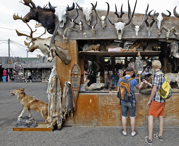 People visit Tony's Trading Center that is filled with mounted animals at Heritage Square at the Minnesota State Fair, Tuesday, August 27, 2013 in Fal