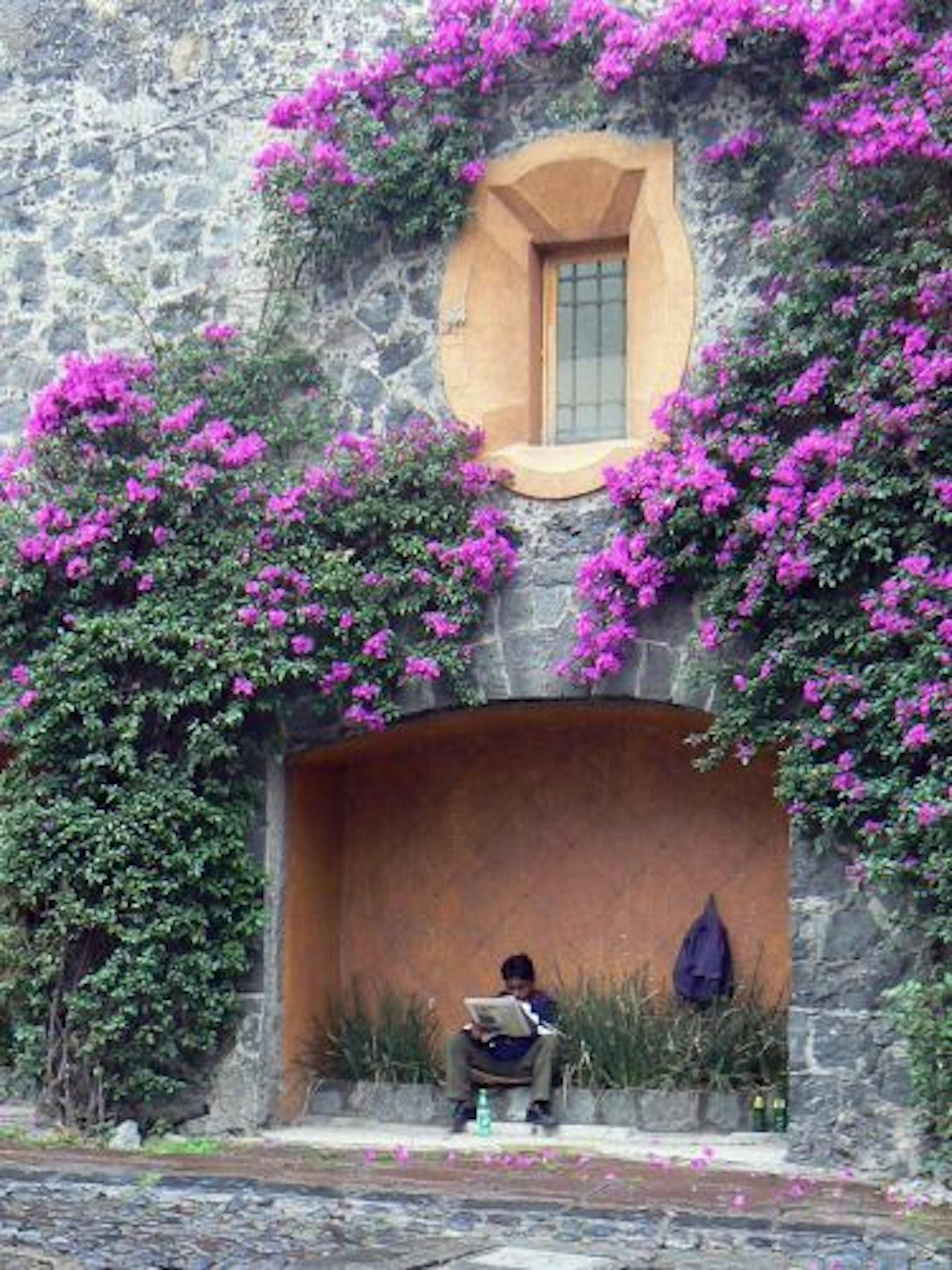 Mexico City's San Angel neighborhood retains the feel of the small village it once was with its cobbled streets and houses covered with colorful Bougainvillea.