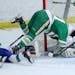 Edina's Lucy Bowlby battles Blake goalie Molly Haag (33) for the puck during the second period of their Girls' hockey, Class 2A, Section 6 final with 