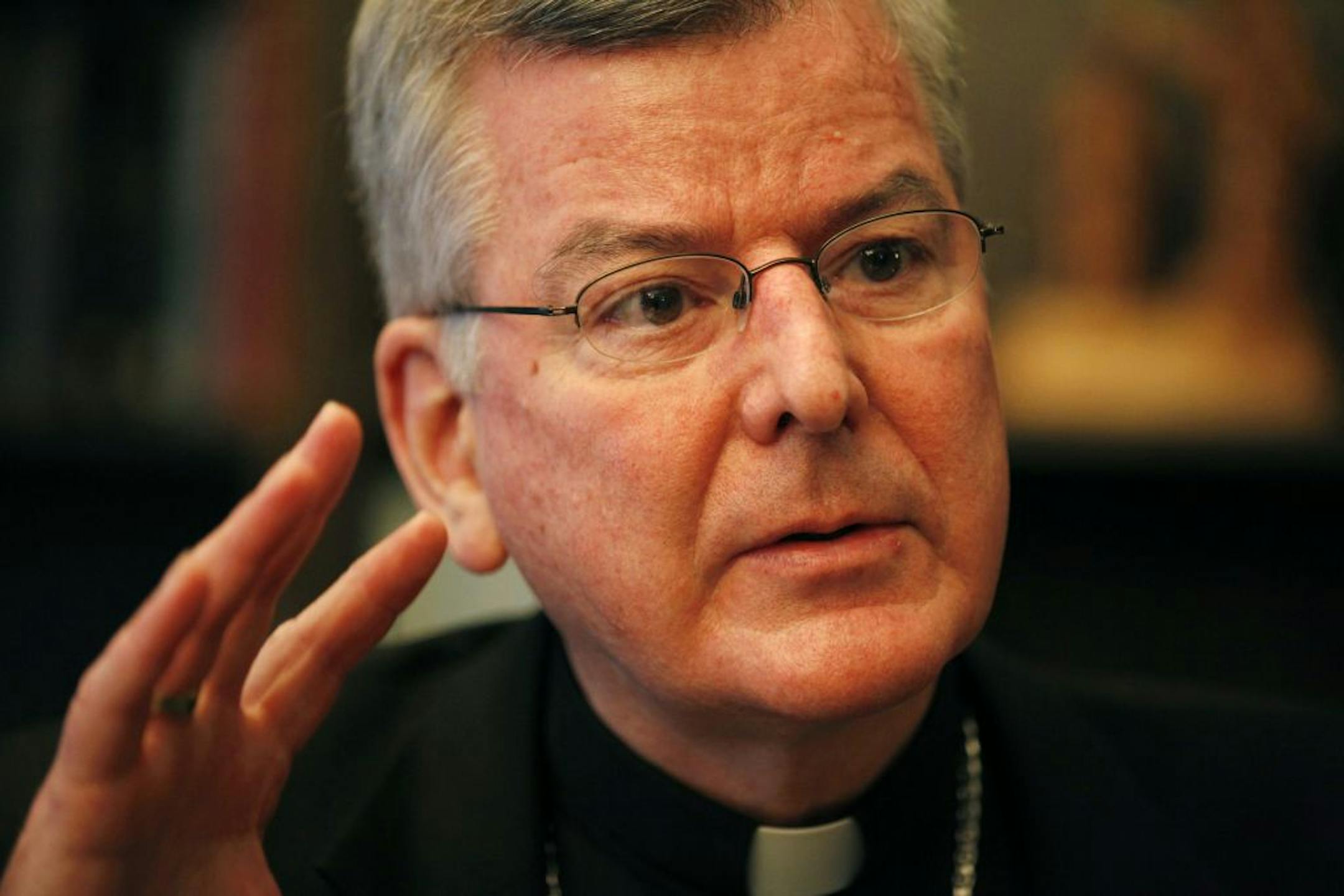 John Nienstedt, Archbishop of the Archdiocese of St. Paul and Minneapolis.
