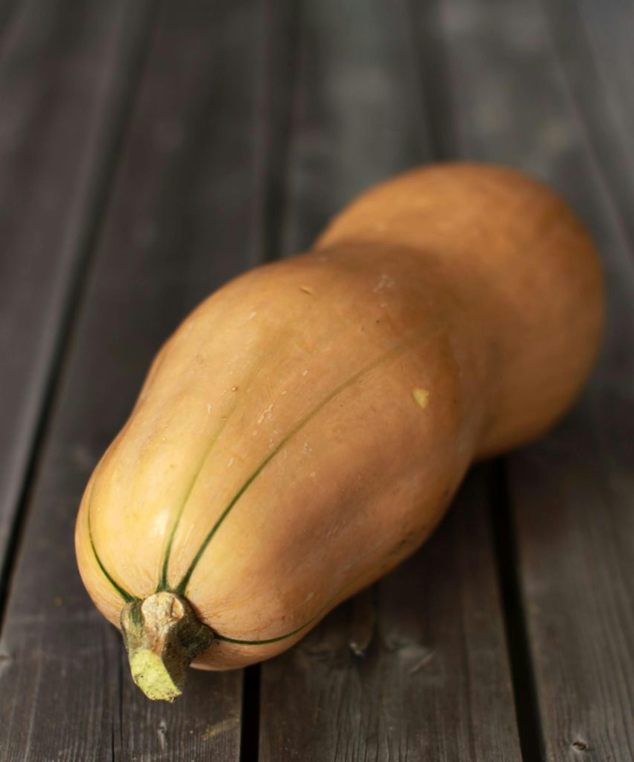 Butternut Squash__ The Winter squash Illustration. Winter squash have thick, tough shells that protect the flesh inside which makes them excellent storage vegetables. [ TOM WALLACE � twallace@startribune.com _ Assignments #20025658A_ October 3, 2012_ SLUG: squash10xx_ EXTRA INFORMATION: