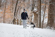 Nick Gapinskin walks his dog Oliver near Crystal Lake in  Burnsville on Friday.