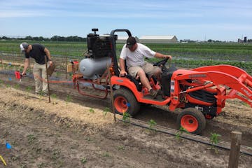 Photo by Sam Wortman
Researchers from the University of Nebraska-Lincoln, working on a test plot with red pepper plants, blast weeds with grit to kill