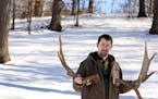 Sam Beamond of Forest Lake proudly stood for a portrait with a pair of the many moose antlers he&#x2019;s found. He makes annual trips north to search