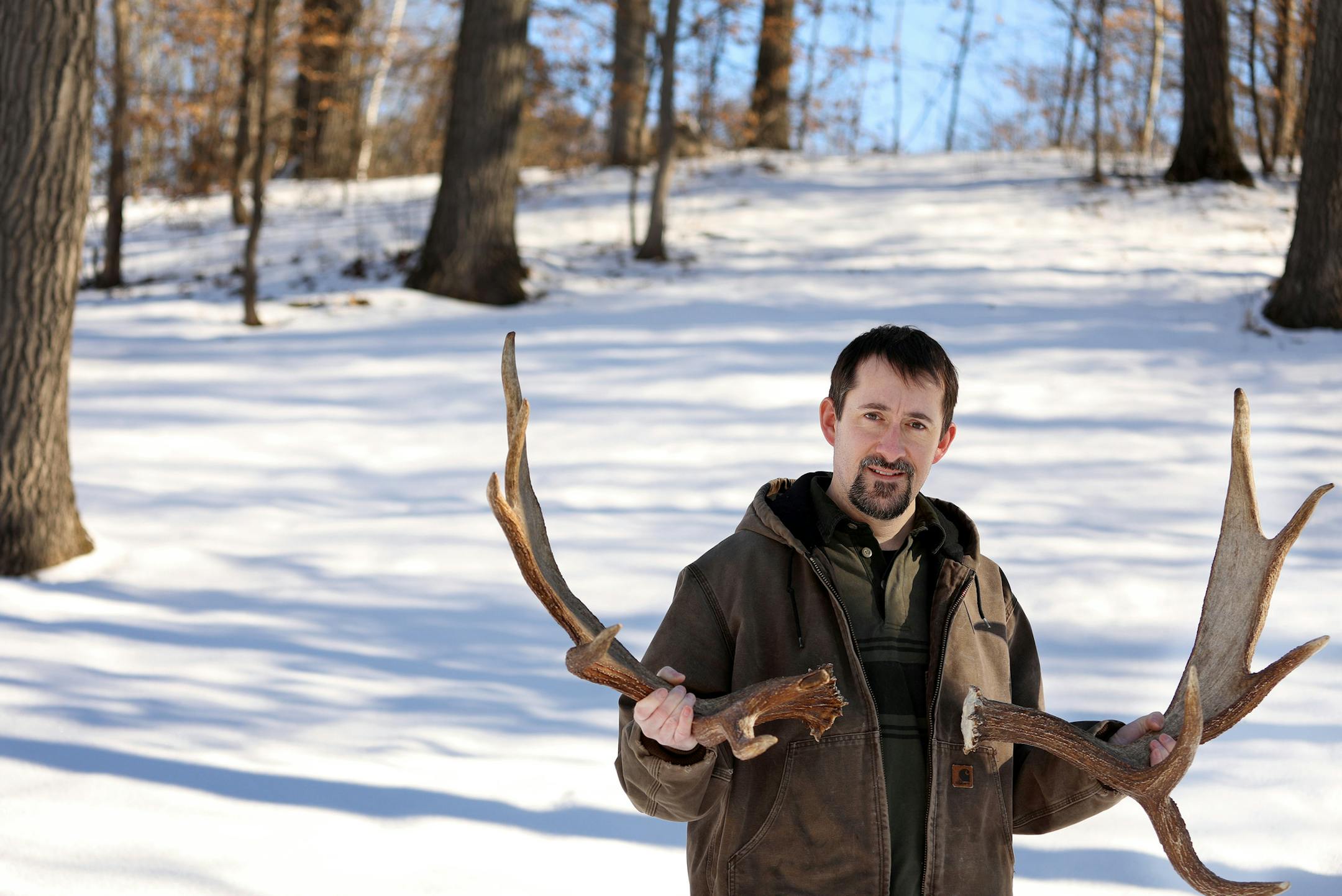 Sam Beamond of Forest Lake proudly stood for a portrait with a pair of the many moose antlers he&#x2019;s found. He makes annual trips north to search for shed moose antlers.