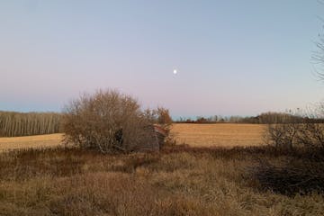 Full Beaver Moon