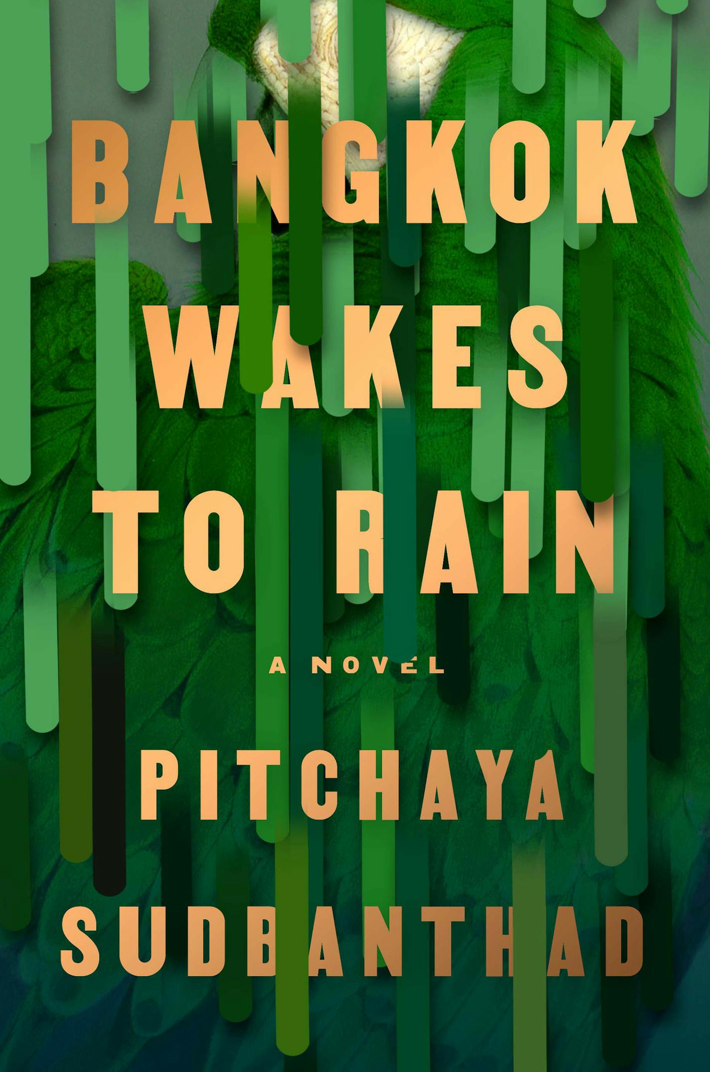 Bangkok Wakes to Rain, by Pitchaya Sudbanthad