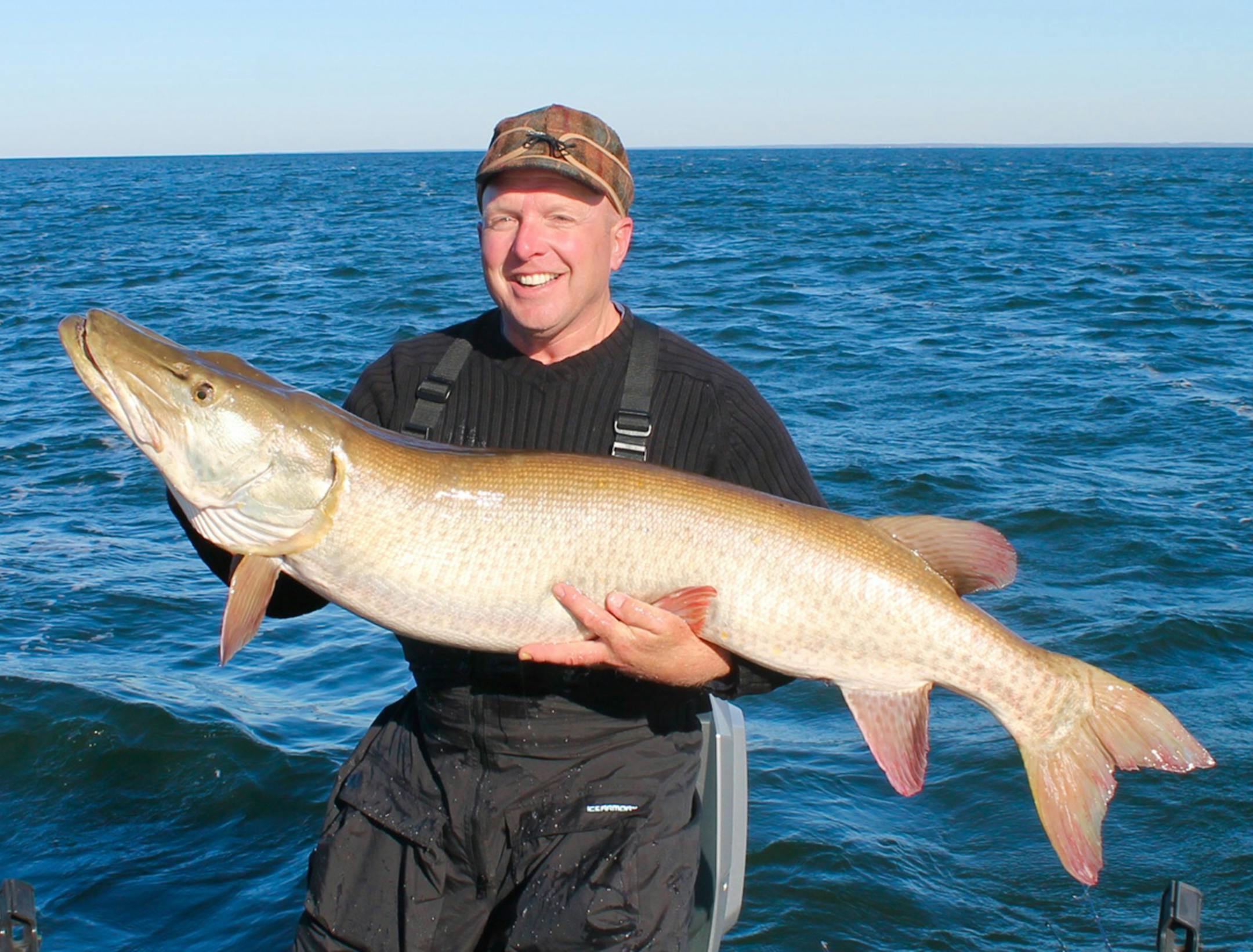 Long time muskie angler Paul Hartman with a 56-inch muskie he caught on Mille Lacs late last year. A huge and potentially record fish, to be sure. But Mille Lacs and some other state lakes might have far fewer muskies than they once did ó which is a problem, because muskie fishing is growing more popular.