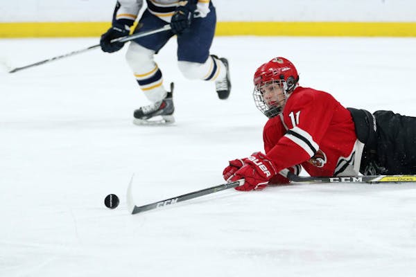 Standouts moving to state, standing out at hockey tourney hardly a new thing