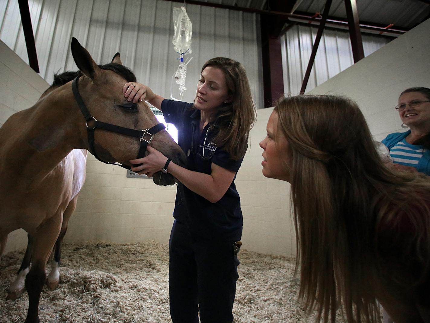 Veterinarian student Ashley Hall (second from right), shadowed veterinary medical residents, including Jenny Brown (left), at the U of M&#x201a;&#xc4;&#xf4;s Equine Center. Horse being treated is Shazam, owned by Amanda Denn. Amanda's mother Darlene Denn is at right. ] JIM GEHRZ &#x201a;&#xc4;&#xa2; jgehrz@startribune.com / St. Paul, MN / June 25, 2014 / 10:00 AM / BACKGROUND INFORMATION: Ashley Hall just finished her second year of veterinary school at the University of Minnesota. By the time s