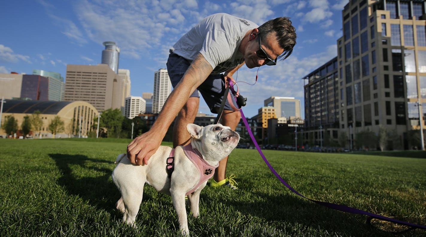 The new Downtown East Commons covers two blocks and 4.2 acres next to U.S. Bank Stadium on former Star Tribune land in Minneapolis. Folks are already enjoying the green space; Jeff Holz walked his french bulldogs Stitch and Bella, not pictured.