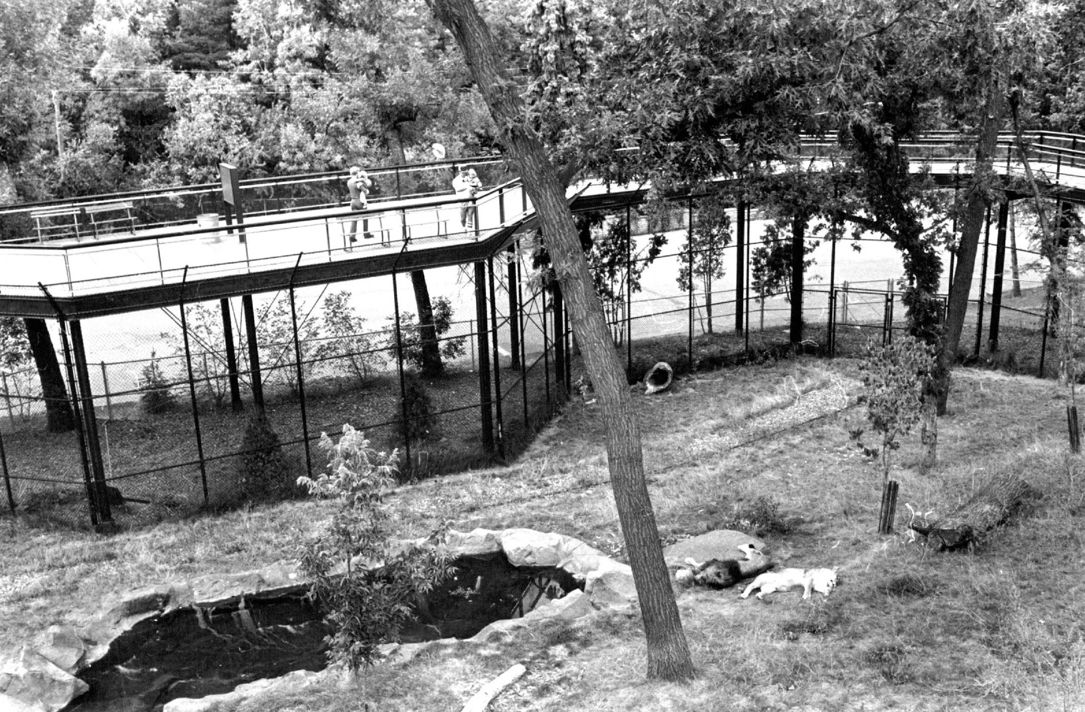 Como Zoo will get a new building, but some animals are on their way out.