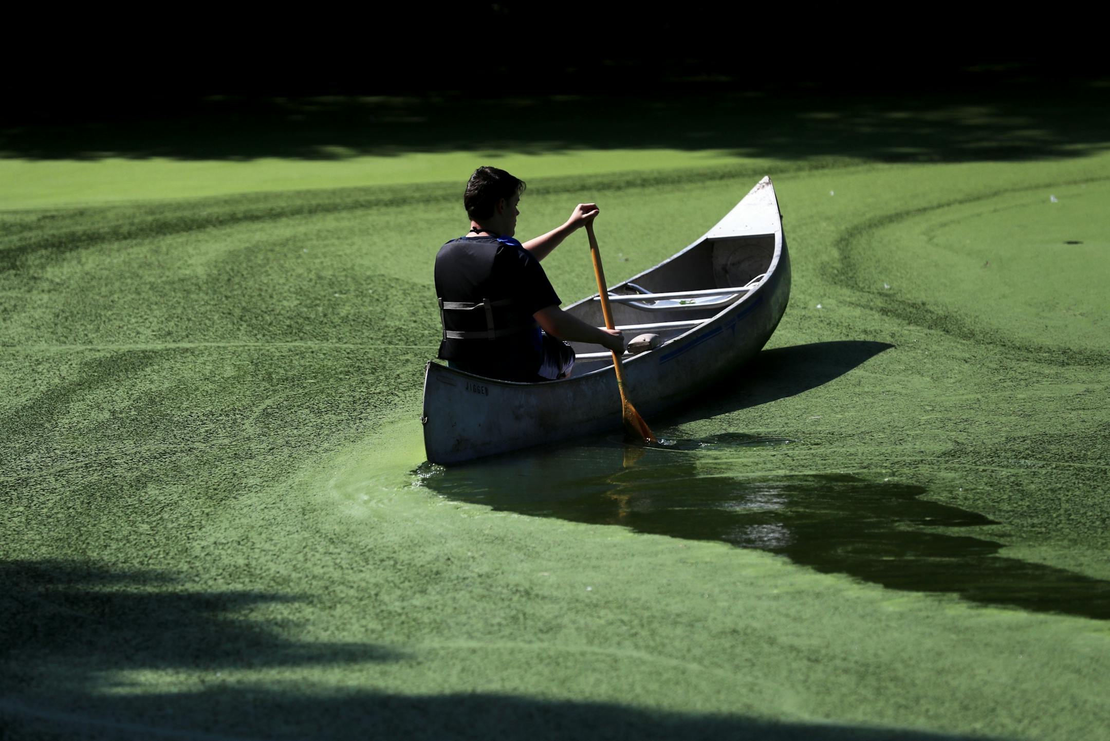 Bloomington resident Nick Niziolek, 17, canoed near a "floating island," in Winchester Pond, steps from his family's residence. The Niziolek family and neighbors undertook the task to clean up the pond and surrounding land and was seen Wednesday, July 23, 2019, in Bloomington, MN.
