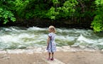Zoa Kopylov, 6, of Richfield, watched the water gush by at at Minnehaha Falls Park as she took a walk with her grandmother on Memorial Day in Minneapo
