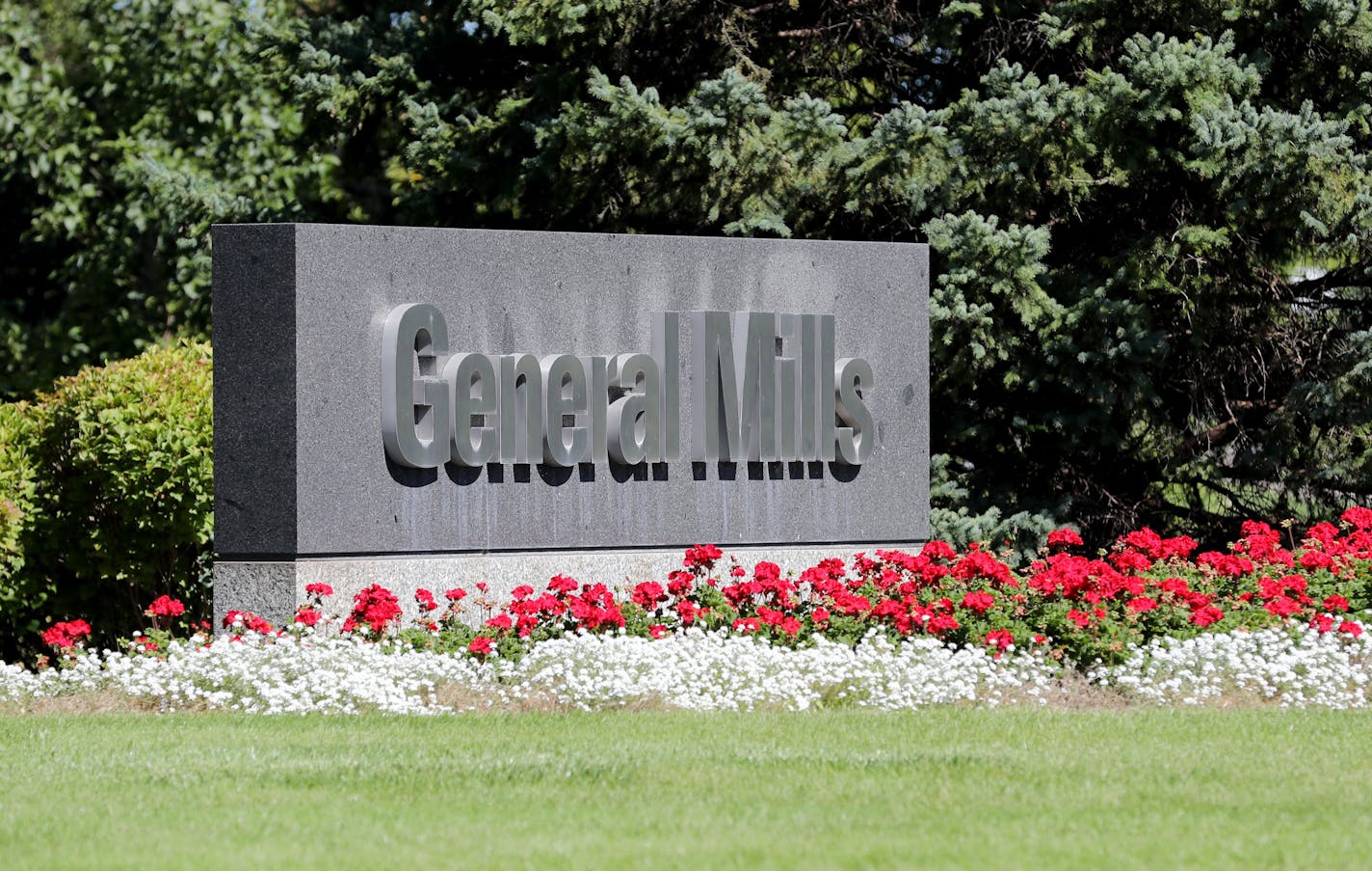 General Mills headquarters campus Wednesday, Aug. 31, 2016, in Golden Valley, MN.](DAVID JOLES/STARTRIBUNE)djoles@startribune PER REQUEST HERE ARE GENERIC GENERAL MILLS CAMPUS/SIGNAGE PHOTOS FOR FILE Old El Paso taco shells and Mexican food items may not be what comes to mind when thinking about high-growth food categories. But this center-of-the-store brand is one of General Mills' top grocery brands in terms of growth and profitability. The Golden Valley-based company is expanding the line into Russia, Poland, Austria and the Netherlands, while also expanding its successful U.S. products, like taco boats/bowls, in Canada and elsewhere. The brand is the No. 1 Mexican food brand in France and net sales in Europe are larger than anywhere else.