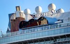 The Odyssey of the Seas cruise ship arrives at Port Everglades in Fort Lauderdale, Florida, Sunday, The Royal Caribbean ship returned after numerous c