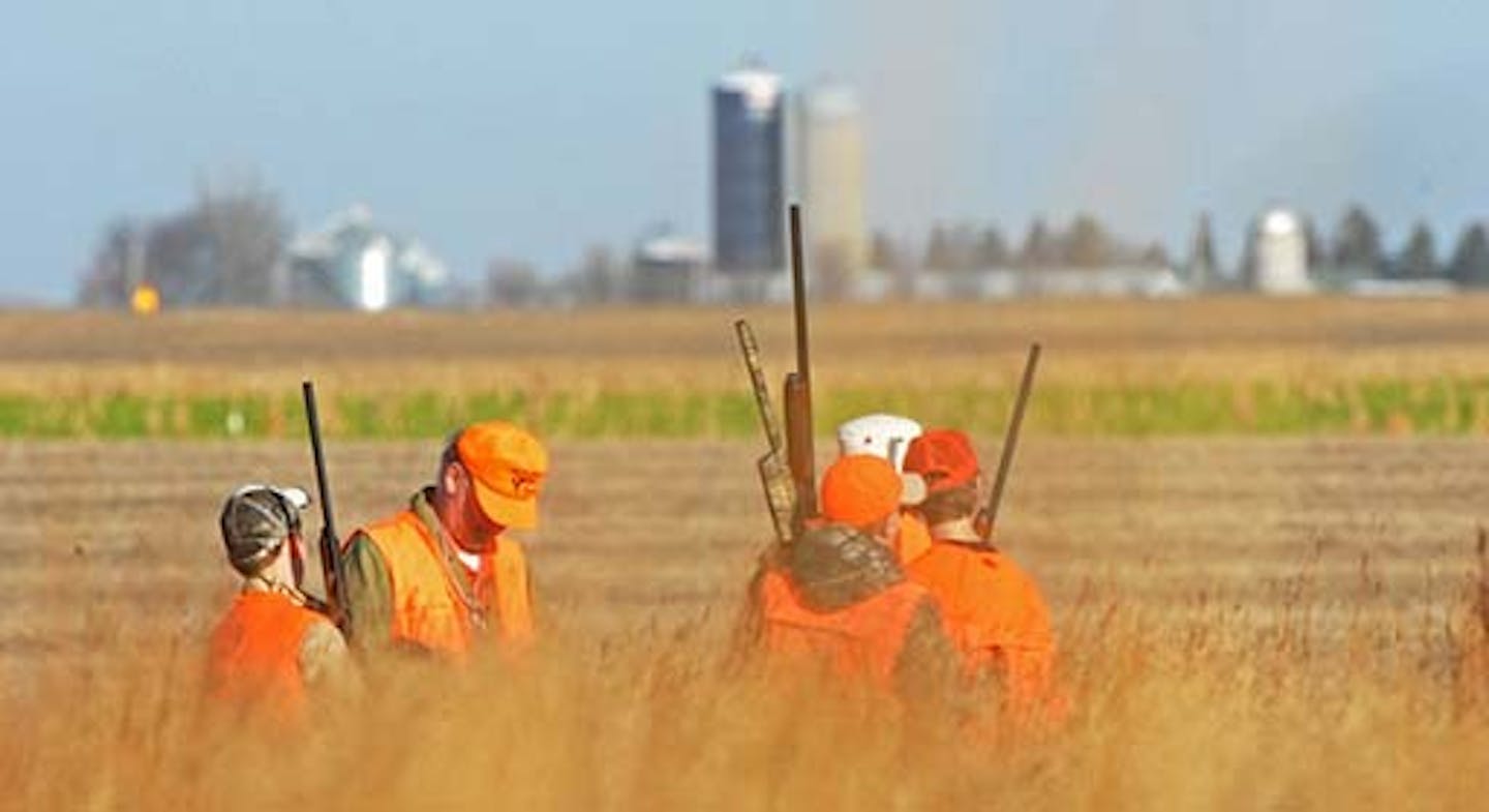 Minnesota pheasant count jumps 29 percent