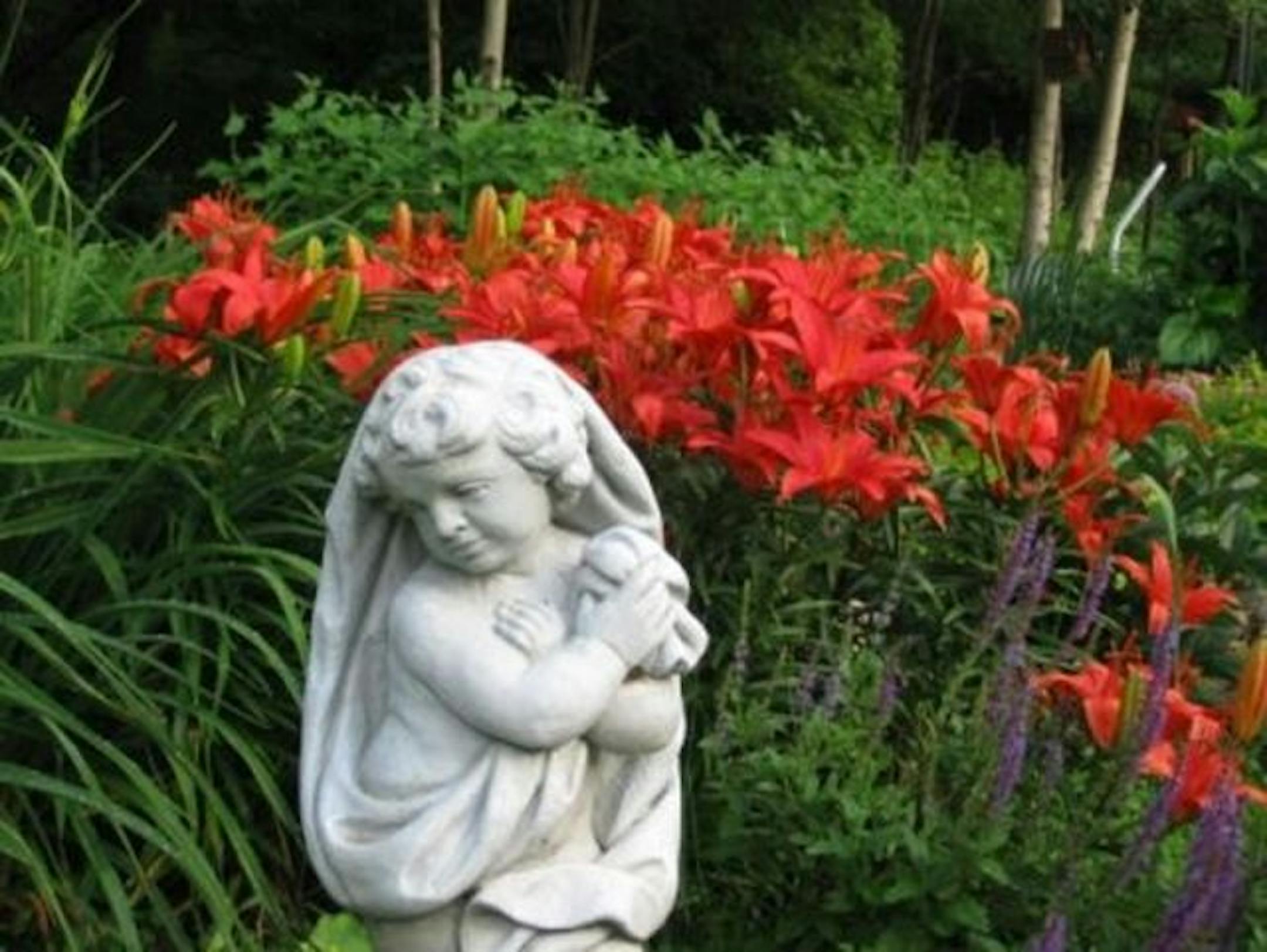 Chris and Jim Trevis' garden offers sanctuary to wildlife.