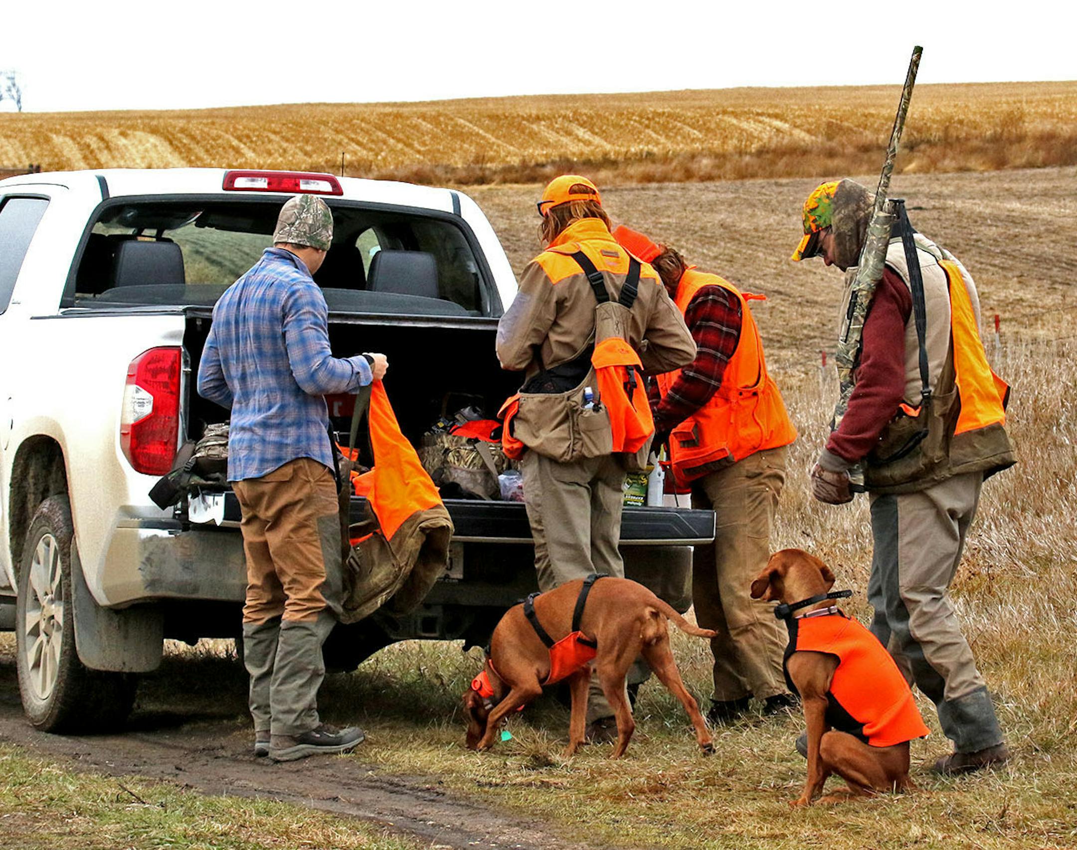 From left to right, Mike Ward, Joe Heckman, Dylan Hillyer and Scott Ward prepare to hunt on farm land west of Aberdeen, South Dakota, the day before Halloween. The dogs are Bailey, left, and Mya.